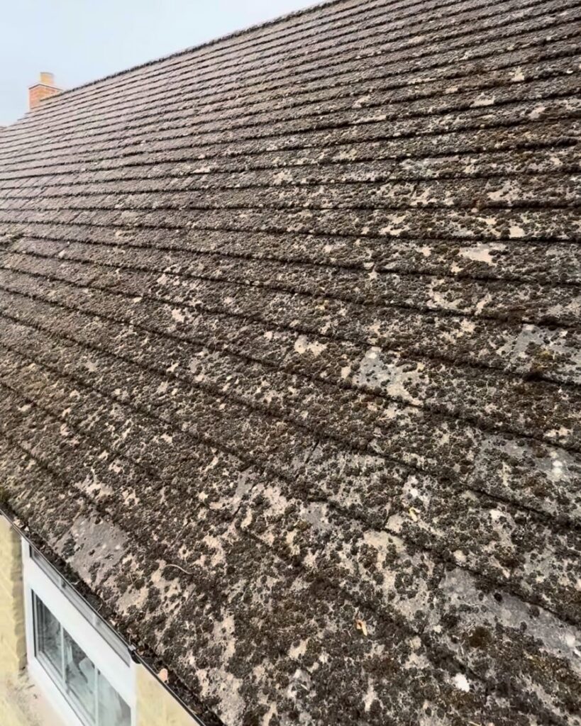 Roof covered in dark moss, before cleaning