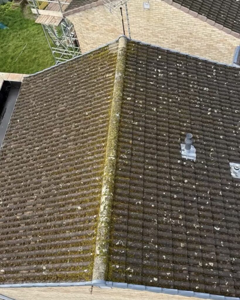 Hip roof dark with moss, before cleaning